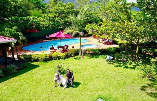 Category Vendor Gallery anuncios