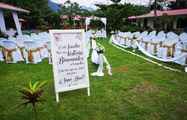 Category Vendor Gallery anuncios