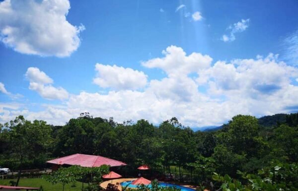 Category Vendor Gallery anuncios