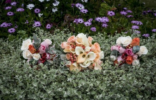 Hacienda El Trebolito