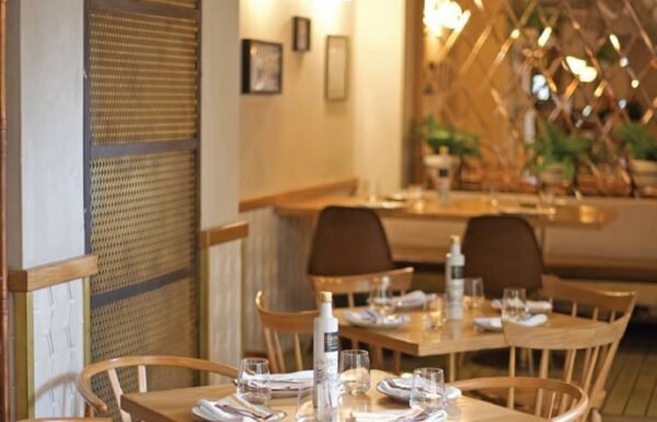 Category Vendor Gallery anuncios3