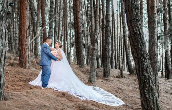 Categoría Galería clasificados Eventoco