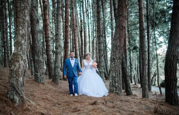 Categoría Galería clasificados Eventoco