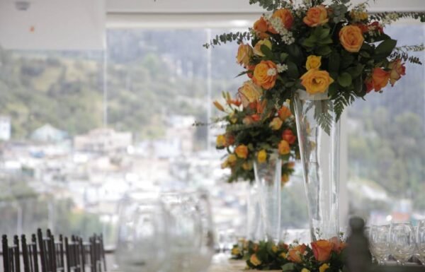 Categoría Galería clasificados Eventoco