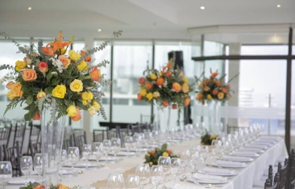 Categoría Galería clasificados Eventoco