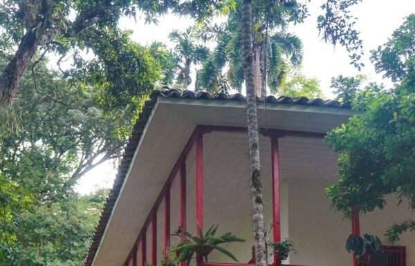 Categoría Galería clasificados anuncios