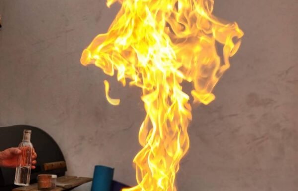 Norishi Interactive Show