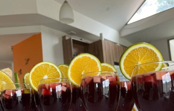 Norishi Interactive Show