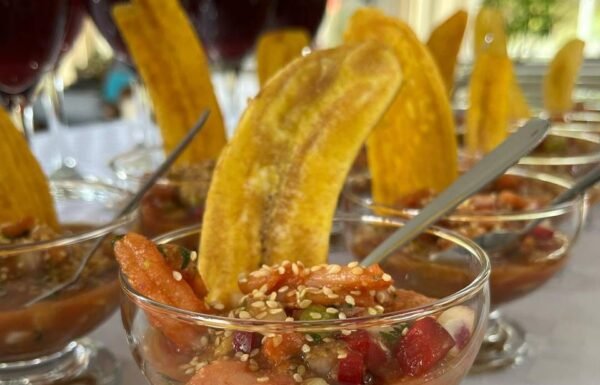 Norishi Interactive Show