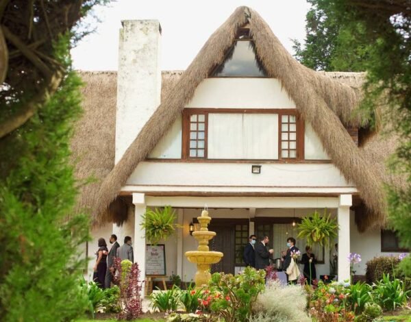 Fotografía y Video Categoria anuncio Sfaced