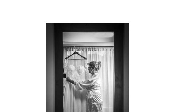 Category Vendor Gallery anuncios3