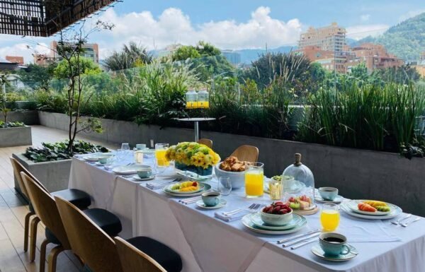 Salvio Curio Collection by Hilton