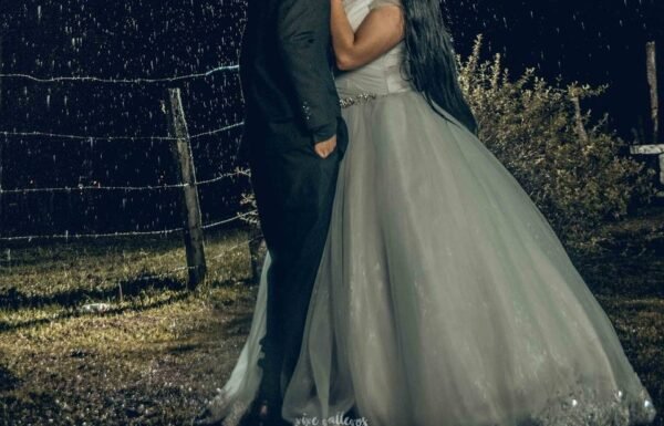 Category Vendor Gallery anuncios3