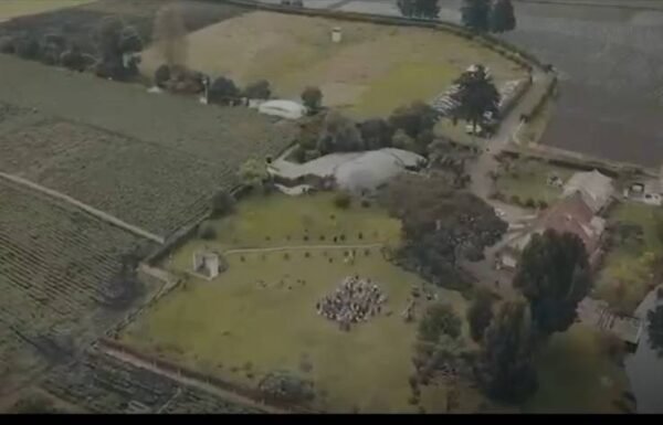 Categoría Galería clasificados Eventoco