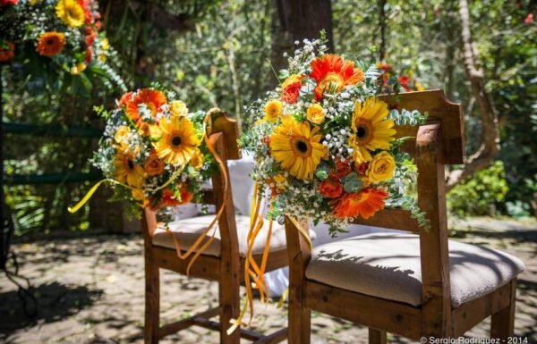 Casa de Campo Potrerito