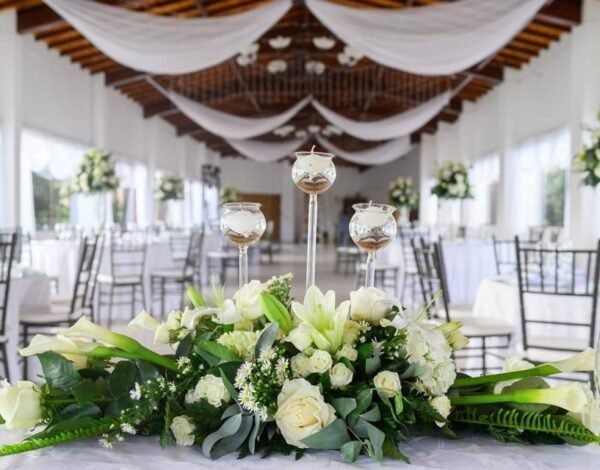 Haciendas Categoria anuncio Hacienda El Trebolito