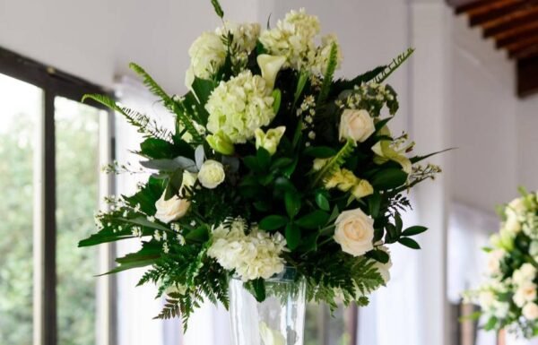 Hacienda El Trebolito