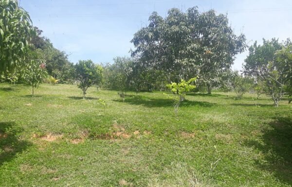 Villa San Luis