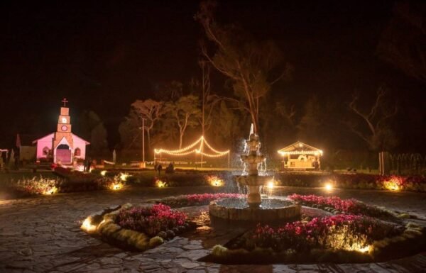 Categoría Galería clasificados Eventoco