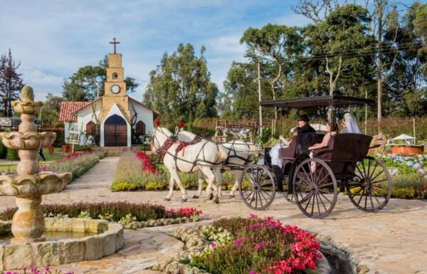 Categoría Galería clasificados Eventoco
