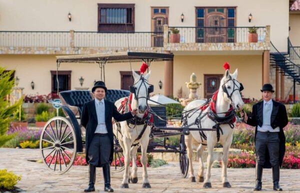 Categoría Galería clasificados Eventoco