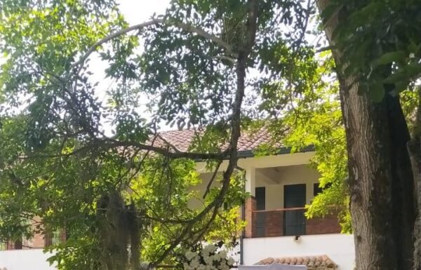 Villa Loyola