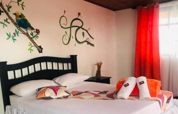 Categoría Galería clasificados anuncios