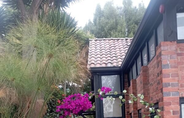 Categoría Galería clasificados Eventoco