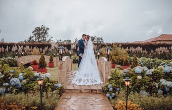 Categoría Galería clasificados Eventoco