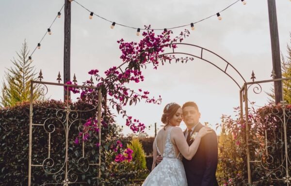 Categoría Galería clasificados Eventoco