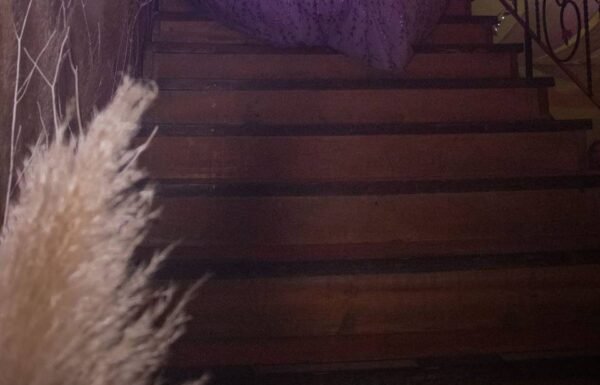 Categoría Galería clasificados Eventoco