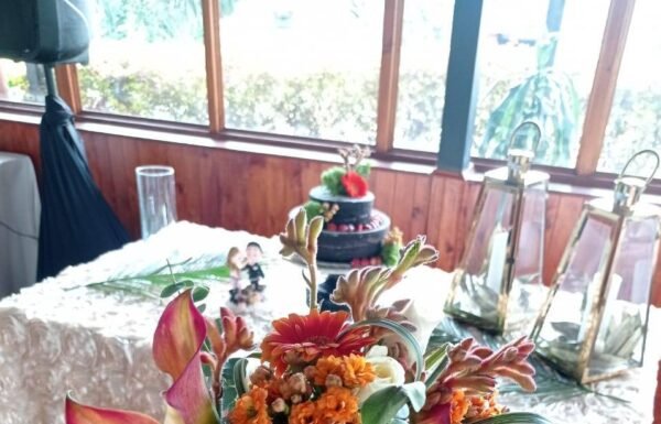 Categoría Galería clasificados Eventoco