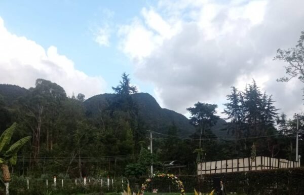 Categoría Galería clasificados Eventoco