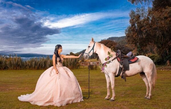 Categoría Galería clasificados Eventoco