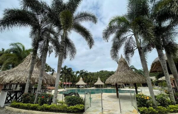 Categoría Galería clasificados anuncios