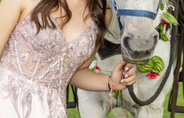 Categoría Galería clasificados Eventoco