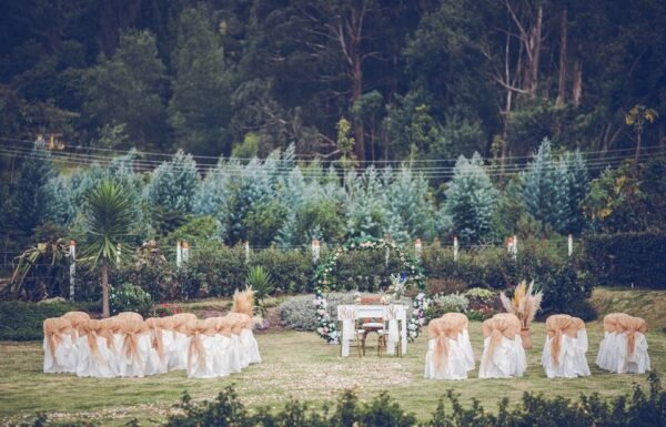 Categoría Galería clasificados Eventoco