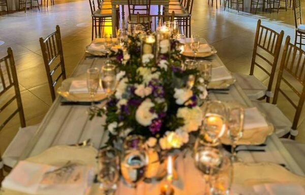 Categoría Galería clasificados Eventoco