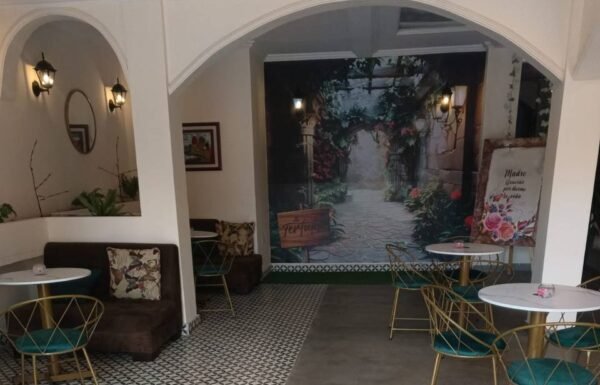 Categoría Galería clasificados Eventoco