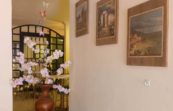 Categoría Galería clasificados Eventoco