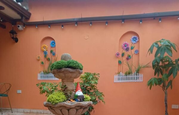 Categoría Galería clasificados Eventoco