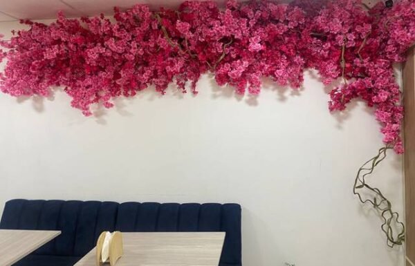 Moni Chaljub Wedding & Event Planner