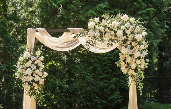 Categoría Galería clasificados Eventoco