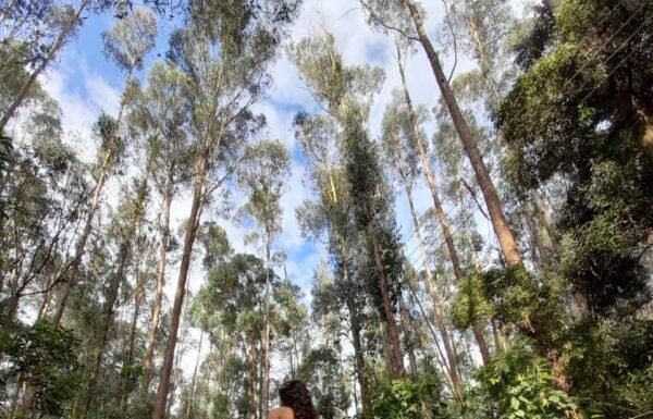 Categoría Galería clasificados Eventoco