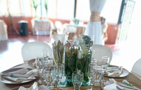 Categoría Galería clasificados Eventoco