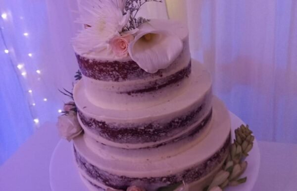 Categoría Galería clasificados Eventoco