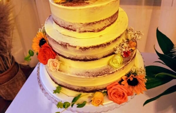 Hacienda Gato Dorado