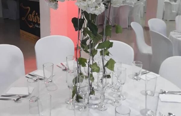 Categoría Galería clasificados anuncios