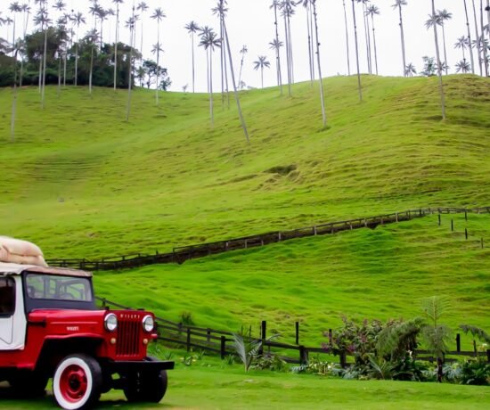 evento.com.co Listado De Ubicación De La Taxonomía Quindío